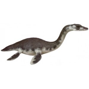 Plesiosaurus