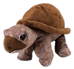 PELUCHE TORTUGA 20CM