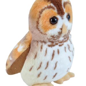 PAJARO MUSICAL BÚHO CÁRDOBO