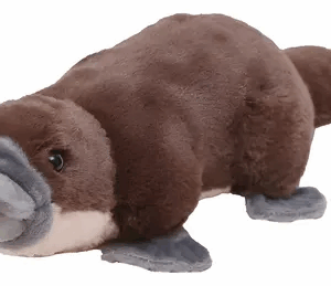 PELUCHE DE ORNITORRINCO 20CM