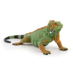 IGUANA