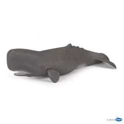 CACHALOTE - PAPO 56036