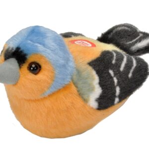 PAJARO MUSICAL PINZON