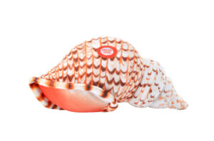 PELUCHE CONCHA DE TRITÓN CON SONIDO 20CM