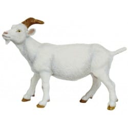 CABRA BLANCA-PAPO 51144
