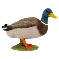 PATO COLVERT-PAPO 51155