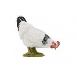 GALLINA BLANCA PICOTEANDO-PAPO 51160