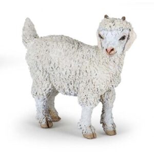 CABRA JOVEN DE ANGORA