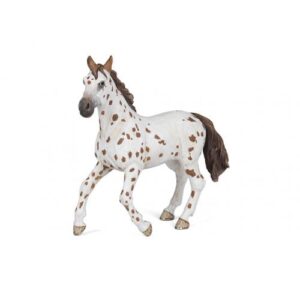 YEGUA APPALOOSA MARRON