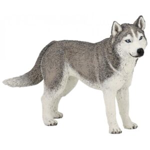 Husky de Siberia - Papo