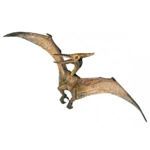 Pteranodon