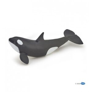 Bebe Orca