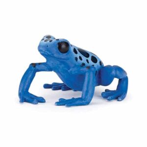 Rana Ecuatorial Azul - PAPO 50175