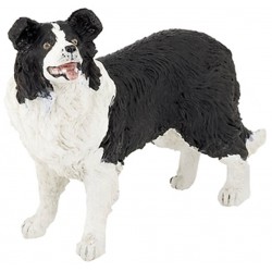PERRO BORDER COLLIE-PAPO 54008