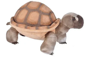 PELUCHE TORTUGA DEL DESIERTO 30CM