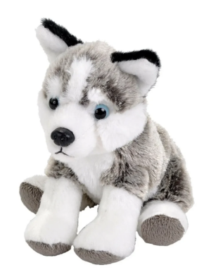PELUCHE HUSKY POCKETKINS 12 CM