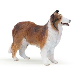 Collie - Papo