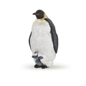Pingüino emperador - Papo