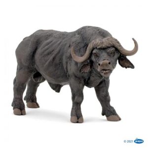 BUFALO AFRICANO