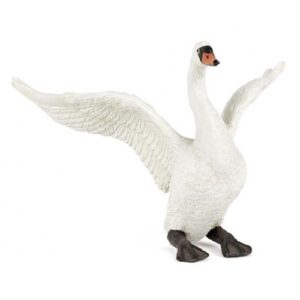 CISNE BLANCO