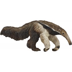 Oso Hormiguero