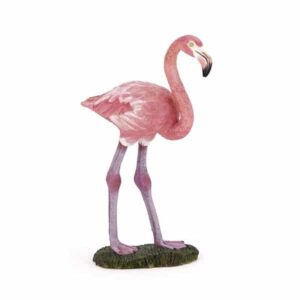 Flamenco Comun - Papo