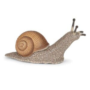 Caracol - Papo 50262
