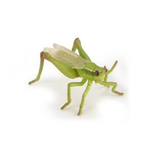 SALTAMONTES