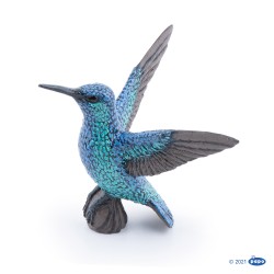 Colibrí PAPO
