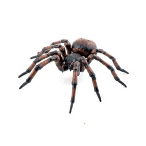 Araña Común - Papo 50292