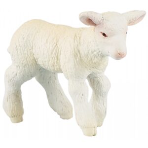 Cordero Merinos