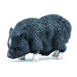 CERDO VIETNAMITA-PAPO 51190