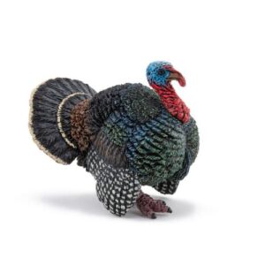 PAVO