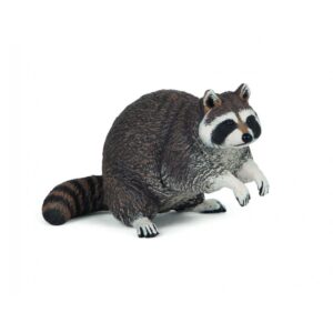Mapache