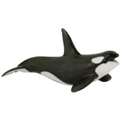 ORCA - PAPO 56000
