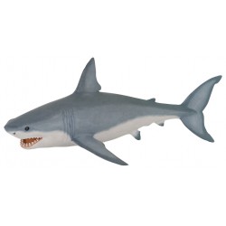 Tiburón blanco
