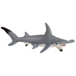 Tiburón Martillo