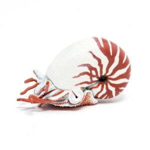 NAUTILUS