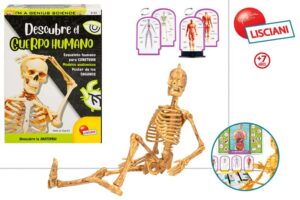 PEQUEÑO GENIO-DESCUBRIENDO EL CUERPO HUMANO +8A
