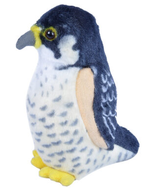 PAJARO MUSICAL HALCON PEREGRINO