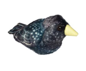 PAJARO MUSICAL ESTORNINO