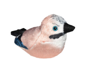 PAJARO MUSICAL ARRENDAJO