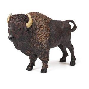 BISONTE AMERICANO