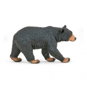 OSO NEGRO AMERICANO