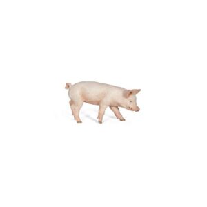 Cerdito hembra