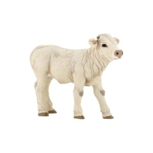 Ternero Charolais