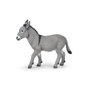 BURRO PROVENZAL