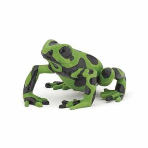 Rana Ecuatorial Verde - PAPO