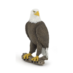AGUILA CALVA
