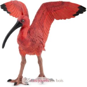 IBIS ROJO